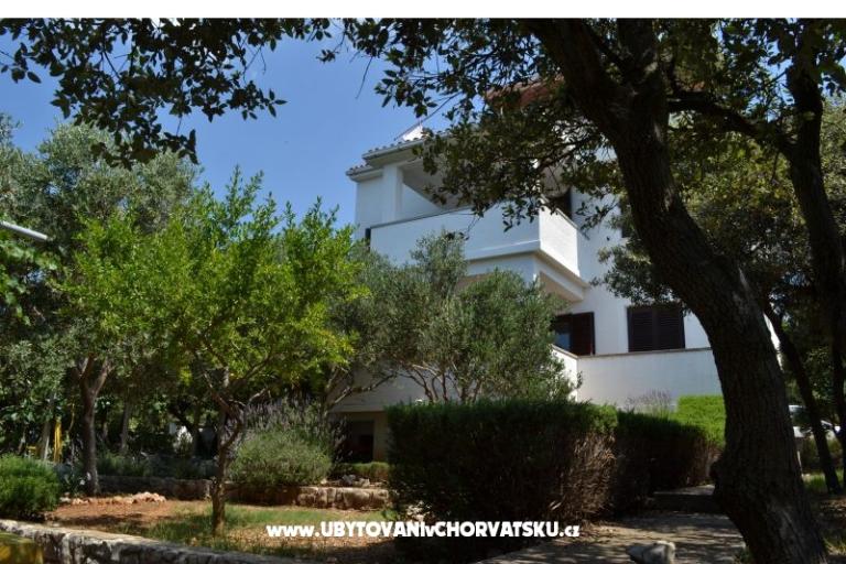 Apartamenty Salvia island Pag Mandre – foto 14