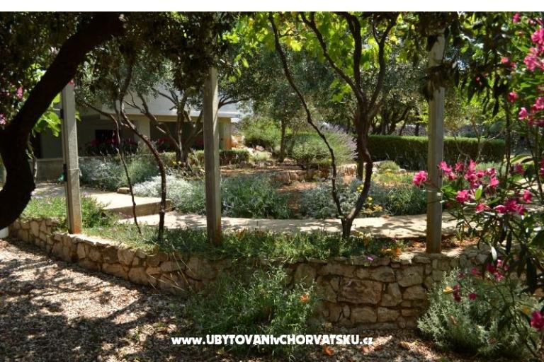 Apartamenty Salvia island Pag Mandre – foto 15