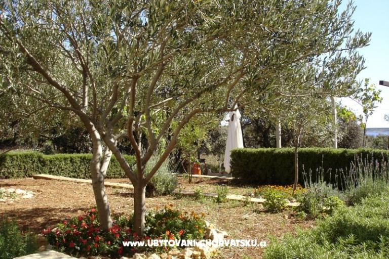 Apartamenty Salvia island Pag Mandre – foto 18