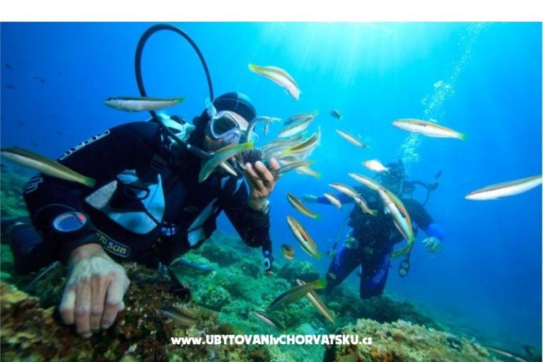 Apartamenty Vinko – foto 17