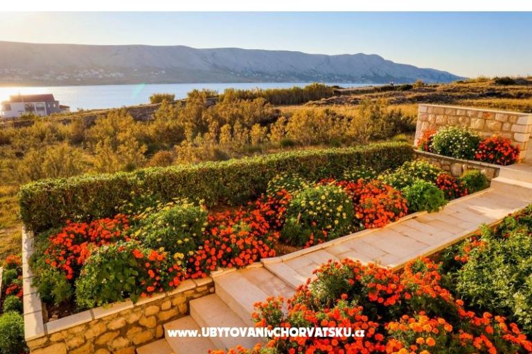 Apartamenty Fabijanic – foto 6