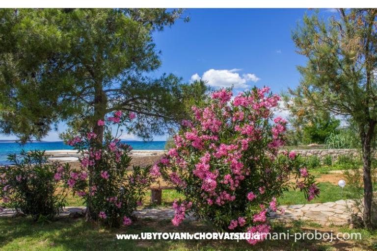 Apartamenty Proboj – foto 16