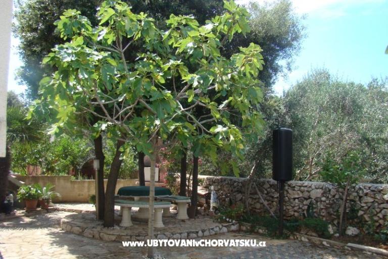 Apartamenty Mandre – foto 2