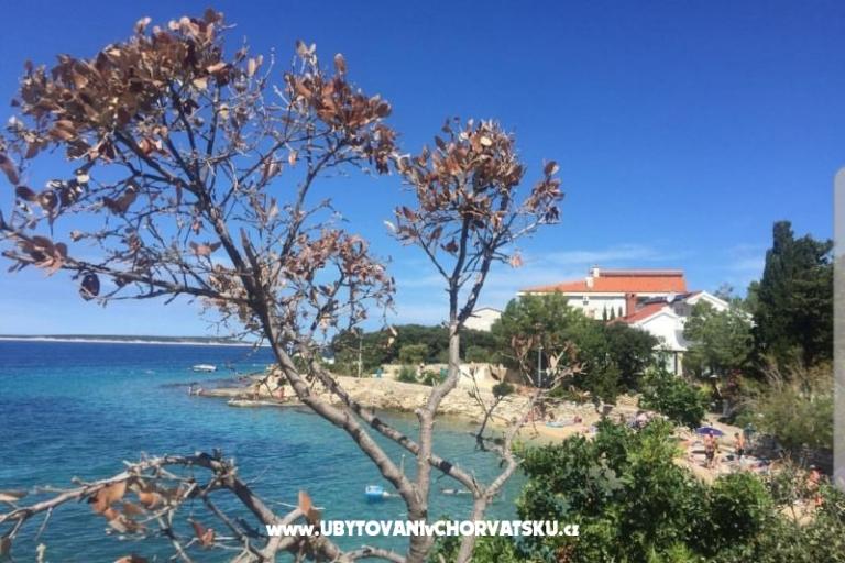 Apartamenty Mandre – foto 6