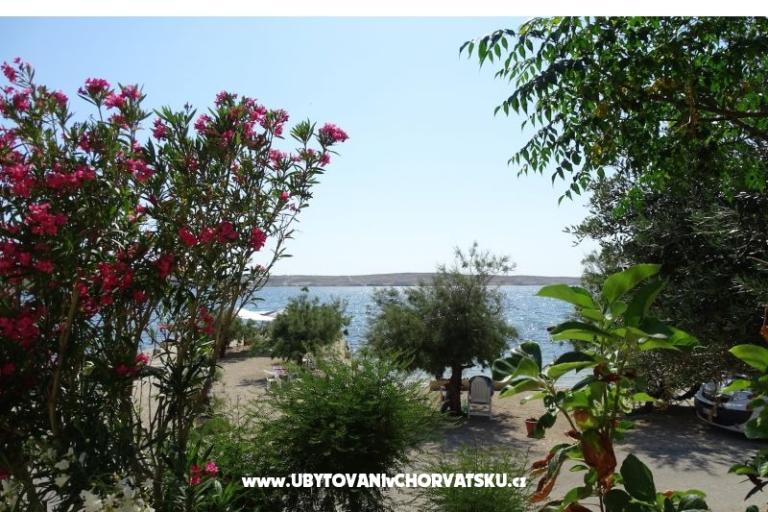 Apartamenty VIVIEN (9x) – foto 3