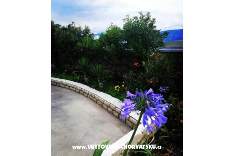 Family Apartamenty K&M – foto 15