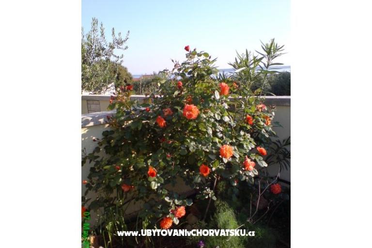 Marea Apartamenty Mandre – foto 6