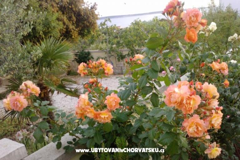 Marea Apartamenty Mandre – foto 8