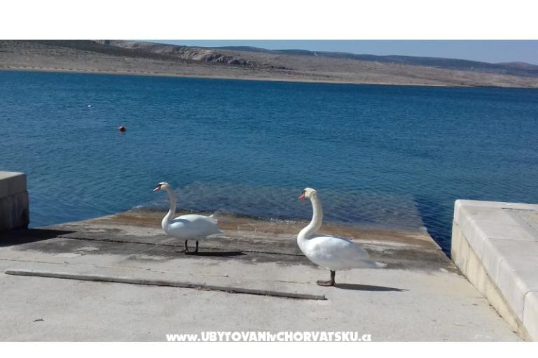 Apartament Maja – foto 18