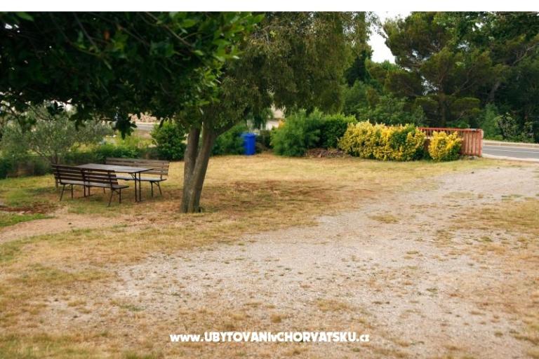 Apartamenty Buco - Smiljana – foto 5