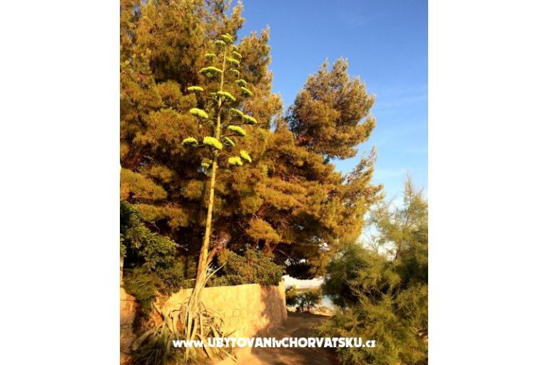 Apartamenty Cvekan – foto 16