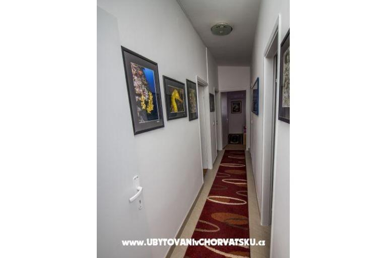 Apartamenty Irena – foto 10