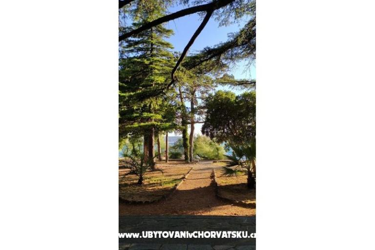 Apartamenty Luka &amp; Lea – foto 14