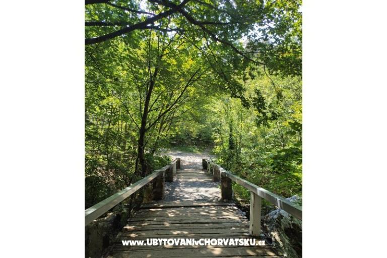 Apartamenty Luka &amp; Lea – foto 15