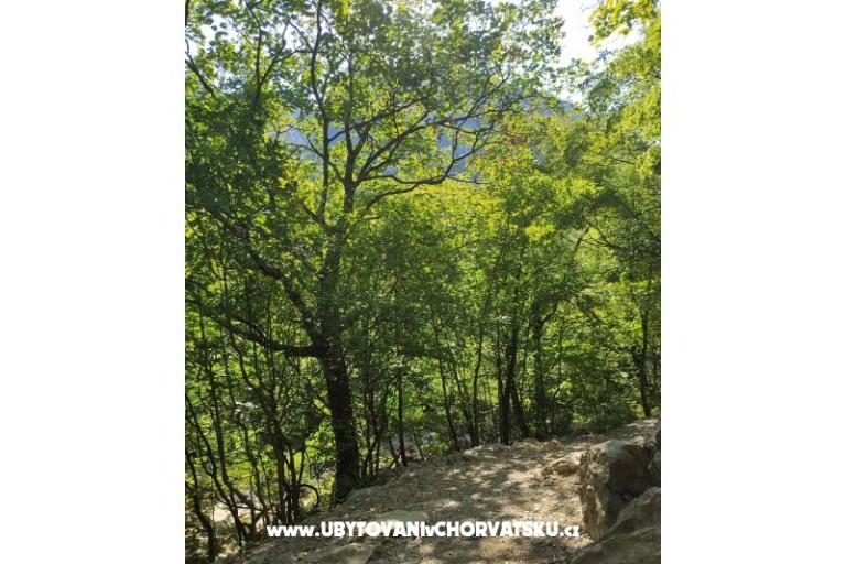 Apartamenty Luka &amp; Lea – foto 16