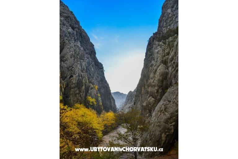 Apartamenty Luka &amp; Lea – foto 17