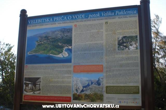 Apartament – foto 8