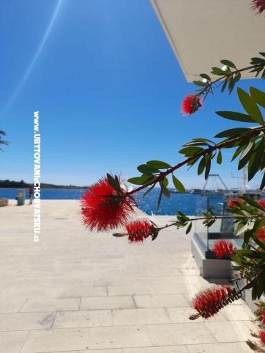 Apartamenty Tomic – foto 10