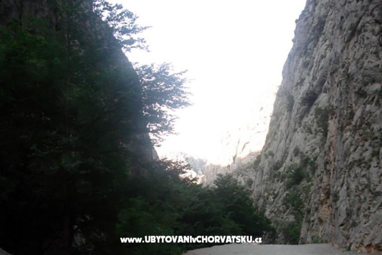 Apartamenty vesela – foto 5