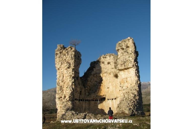 Apartamenty Paklina – foto 16