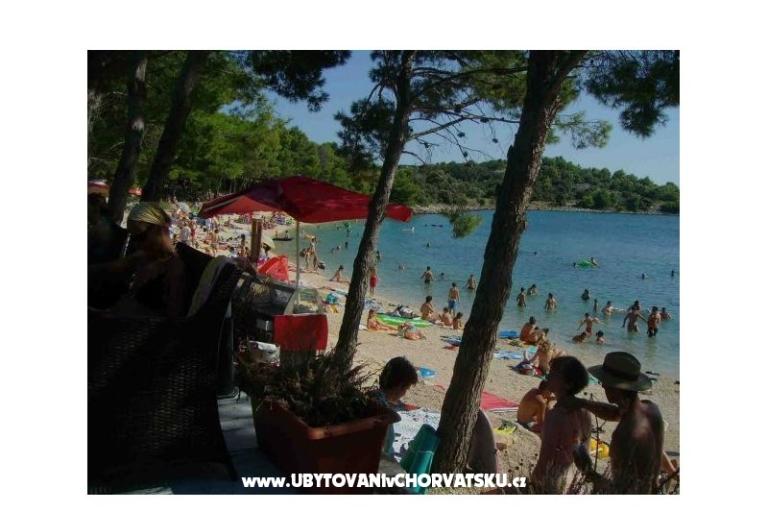 Apartament gallery Drage – foto 11