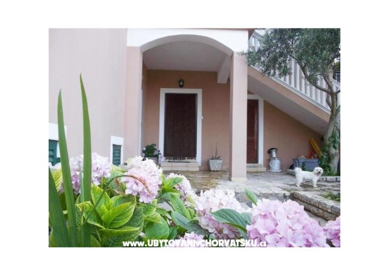 Apartamenty Antonela – foto 2