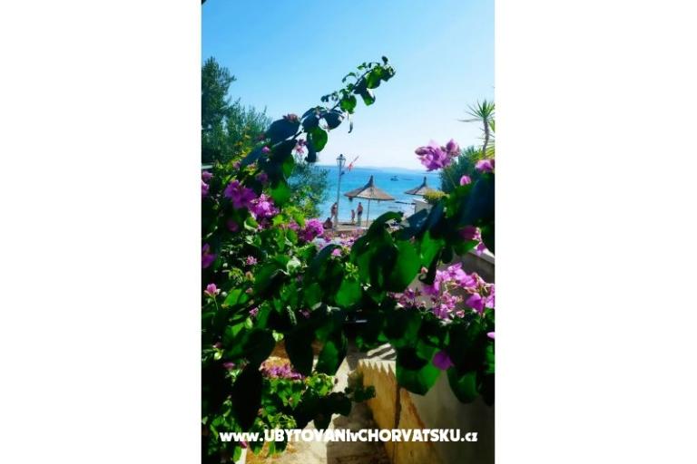 Apartamenty Bonaca – foto 11