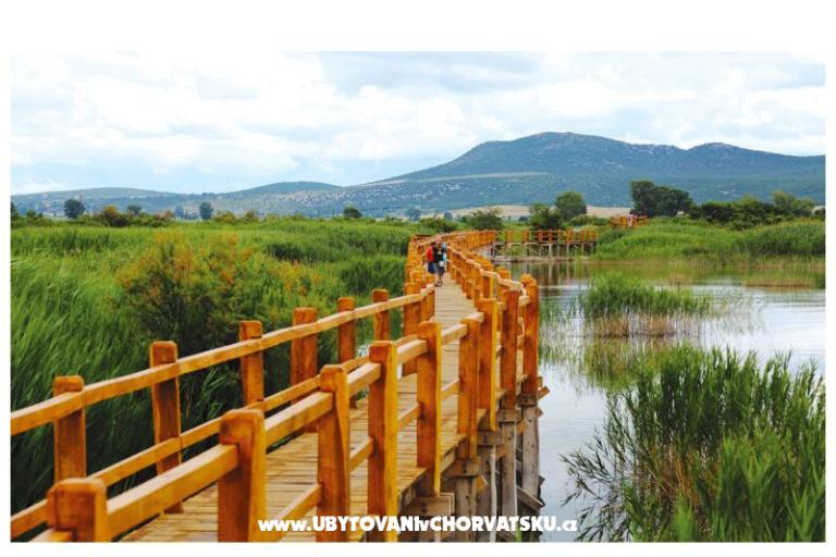 Apartamenty Bonaca – foto 20