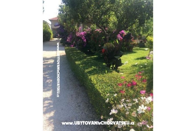 Apartamenty Jasa  – foto 10