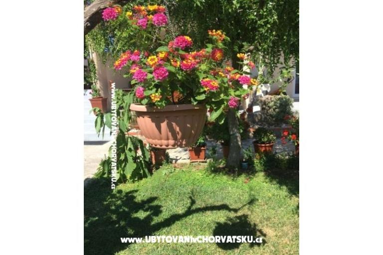 Apartamenty Jasa  – foto 15