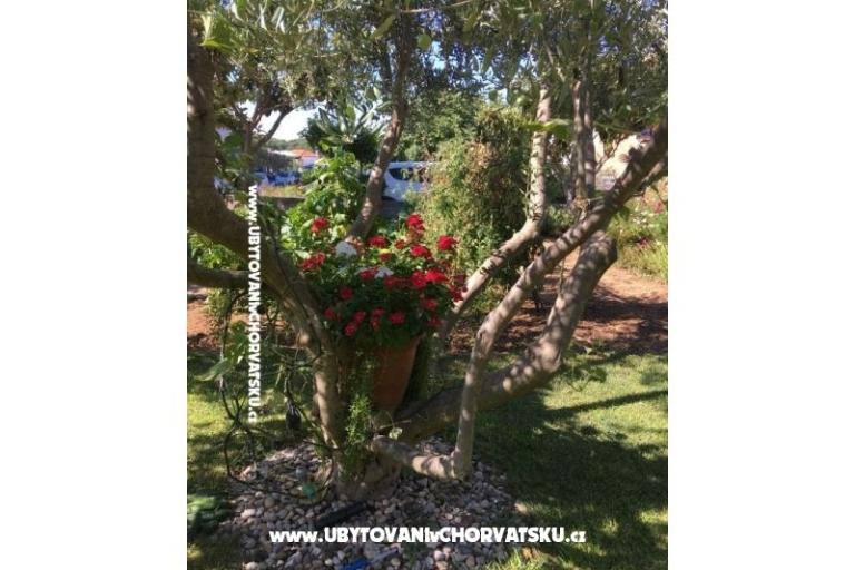 Apartamenty Jasa  – foto 16