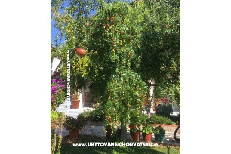 Apartamenty Jasa  – foto 7