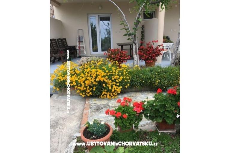 Apartamenty Jasa  – foto 9