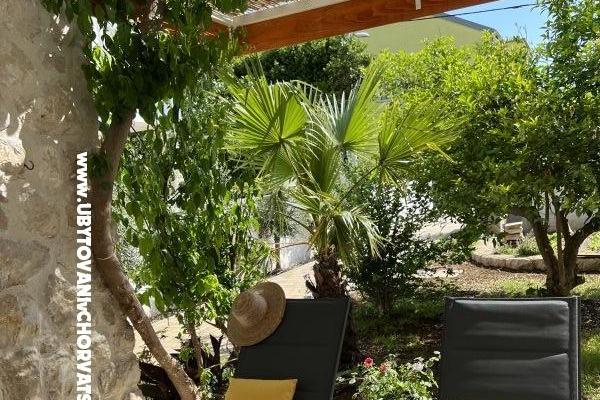 Apartamenty Ksenija – foto 4