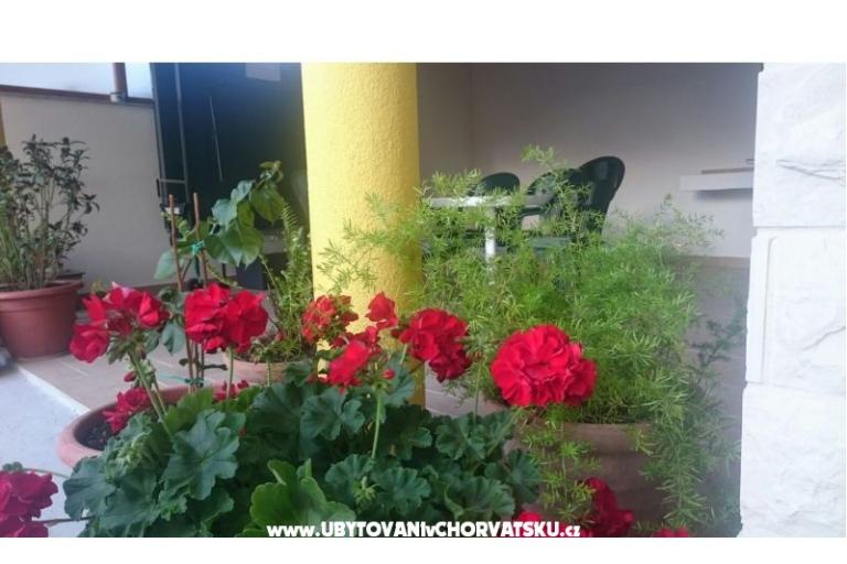 Apartamenty Lucija – foto 6