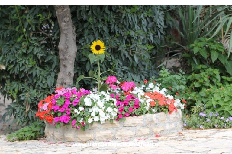 Apartamenty Mamić – foto 17