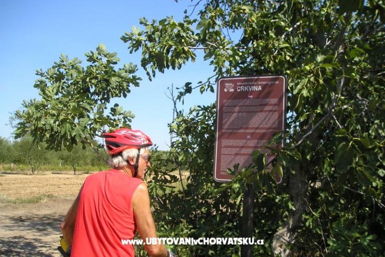 Apartamenty Mario – foto 17