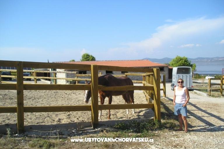 Apartamenty Mario – foto 18