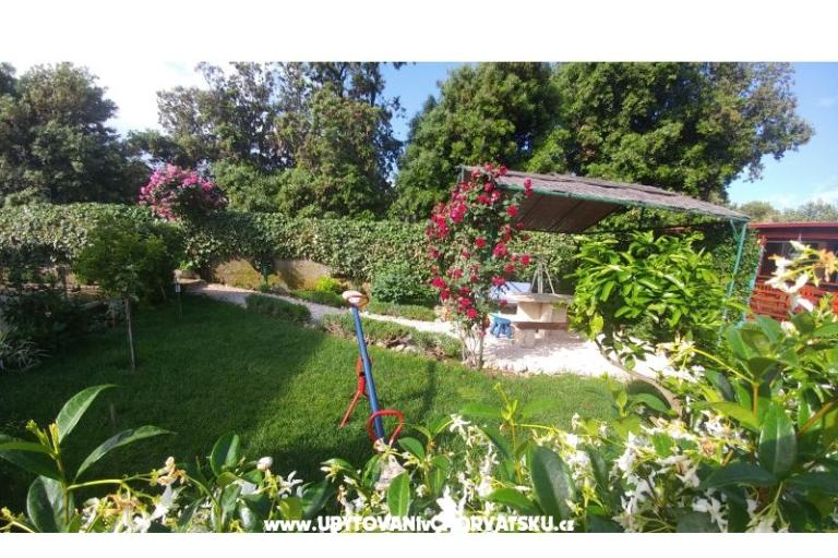 Apartamenty Pipi – foto 8