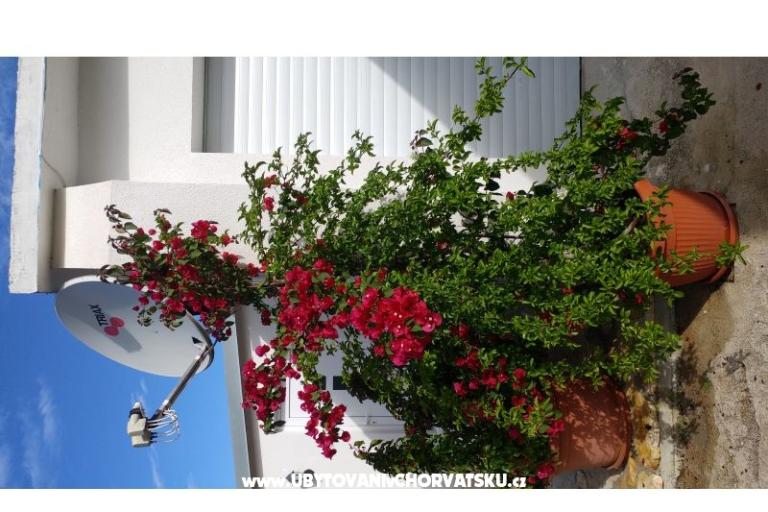 Apartamenty Pipi – foto 12