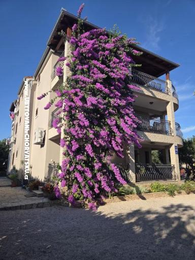 Apartamenty Silvija – foto 19