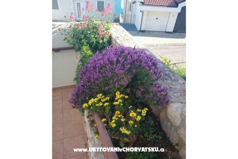 Apartamenty Šimun – foto 11