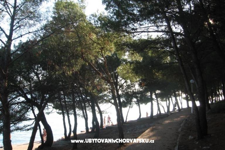 Apartamenty Šimun – foto 25