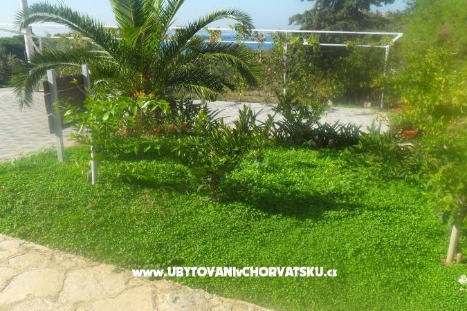Apartamenty Leo – foto 13