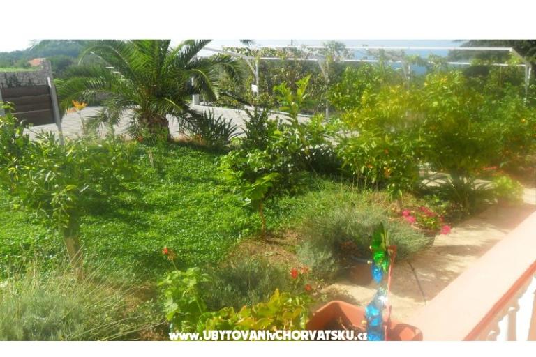 Apartamenty Leo – foto 22