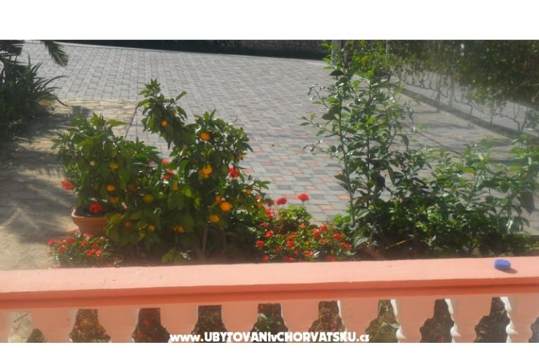 Apartamenty Leo – foto 24