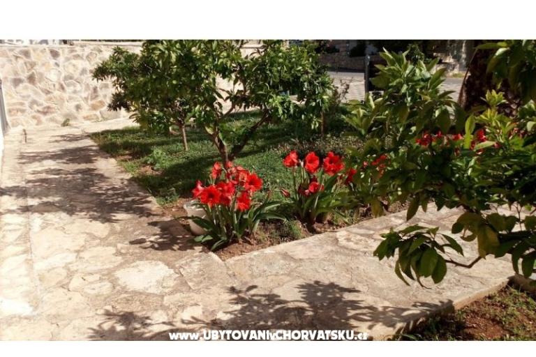 Apartamenty Leo – foto 38