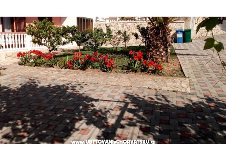 Apartamenty Leo – foto 4