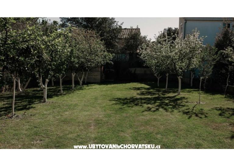 Apartamenty Ivišić – foto 5