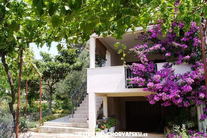 Apartamenty Roko  – foto 16